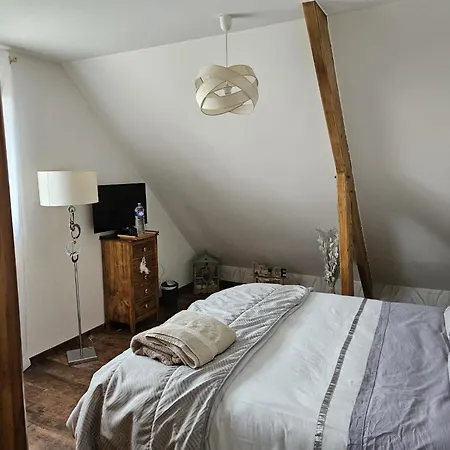 Circuit 24h Du Mans Saint-Jean-du-Bois