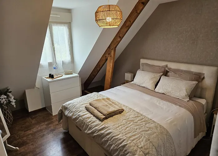 Sejour Circuit 24h Du Mans